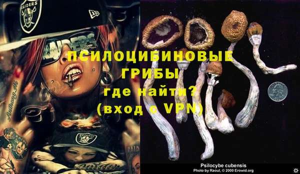 гашик Наволоки
