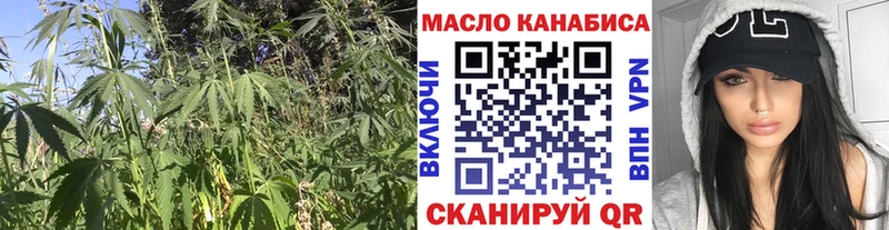 цены   Судогда  ТГК концентрат 
