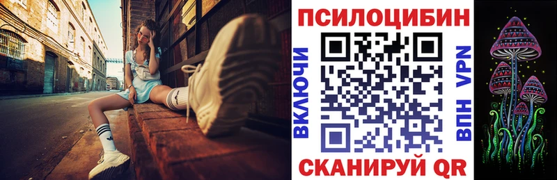МЕГА вход  Судогда  Галлюциногенные грибы мухоморы  цены  